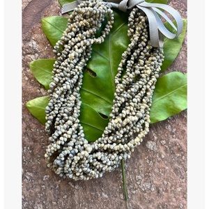 Beautiful Mondo shell necklace made in Hawaii.